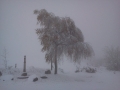 Autonome 2013, neige précoce dans les Vosges
