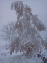 Autonome 2013, neige précoce dans les Vosges
