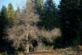 DSC05655