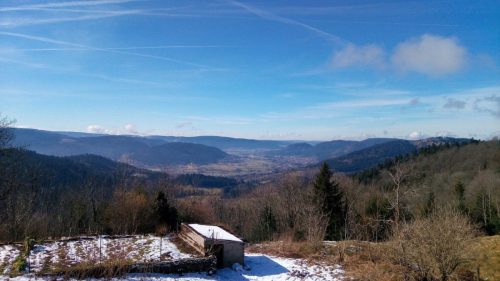 P_20170225_120826-scaled