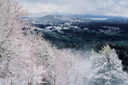 Print_2023__DSC0598-Modifier__6000 x 4000