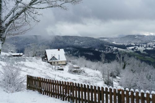 Print_2023__DSC0605_ILCE-6500_6000 x 4000